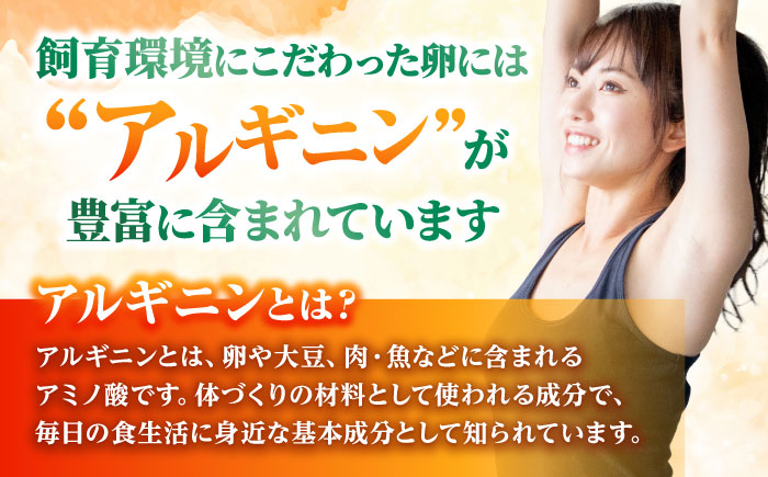 【食で健康に！】アルギニン元気たまご 20個お届け 自然栽培 【浅田峠自然塾】 [EA01]