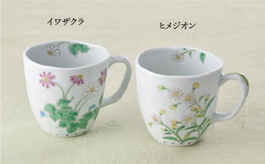 【波佐見焼】色絵ヒメジオン・イワザクラ マグカップ 揃い【藍水】 [GB15]