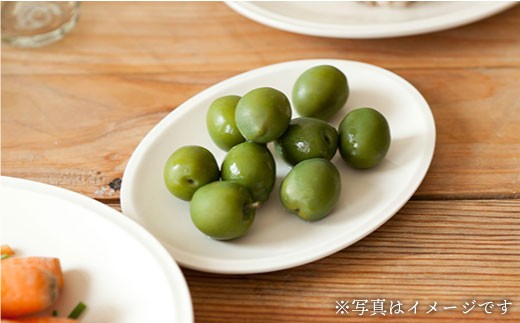 【波佐見焼】h+ 楕円皿 (浅) プレート S 5枚セット【堀江陶器】 [JD18]