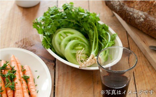 【波佐見焼】h+ 楕円深皿 プレート 5枚セット【堀江陶器】 [JD21]