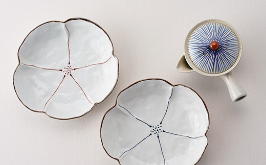 【波佐見焼】急須 深皿 含む オリジナルセットアップ商品【不二商店/協立陶器】 [NB38]