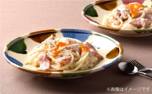 【波佐見焼】民芸彩り プレート ペア カレー皿 パスタ皿 食器 【利左エ門窯】 [QB27]