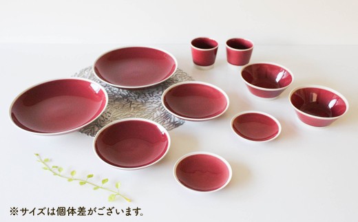 【波佐見焼】シャイニーカラー ワイン色（トルマリン）10点セット 皿 ボウル カップ 【陶芸ゆたか】 [VA56]