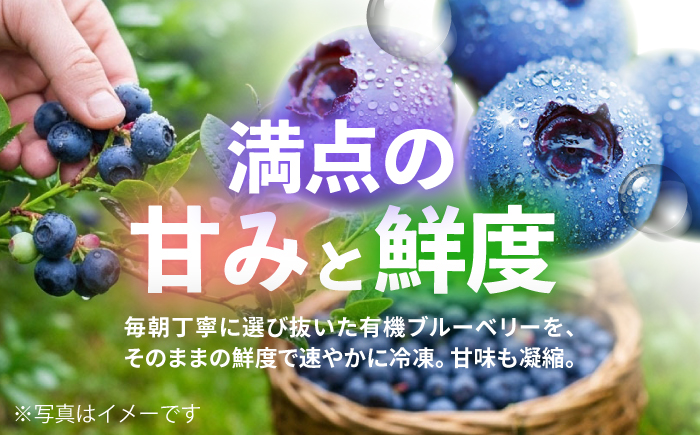 【有機JAS認証】有機ブルーベリー 冷凍 1kg(500g×2袋) 国産 【百笑会】 [DA31]
