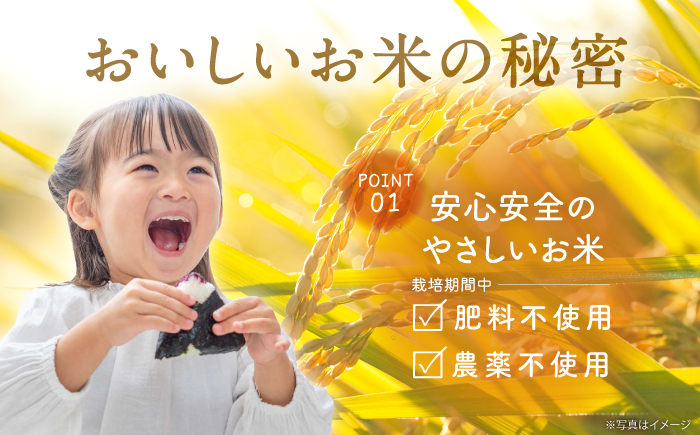 【全6回定期便】令和7年度米4kg・放し飼いたまご20個セット ヒノヒカリれんげ米 元気たまご【浅田峠自然塾】 [EA21]