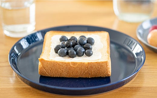 【波佐見焼 マルヒロ】HASAMI SEASON 01 プレートミニ・プレート ペアセット（4点）レッド×ネイビー [EB130]