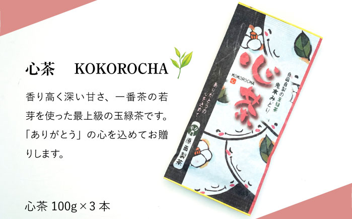 日本茶アワード受賞 玉緑茶「心茶 鬼木みどり」3本セット【原田製茶】 [GA16]