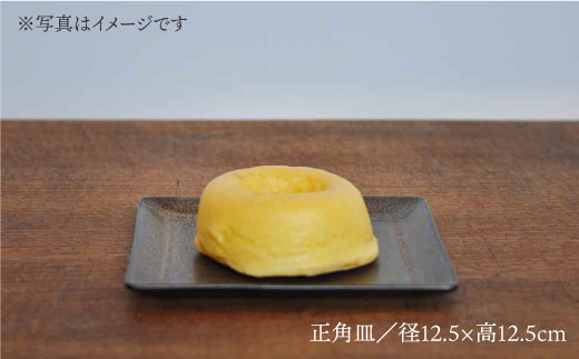 【波佐見焼】h+ 金彩釉 正角皿 プレート カップ 各5個セット 食器 皿 【堀江陶器】 [JD90]