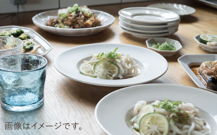 【波佐見焼】ハット深皿 白マット釉 2枚セット 食器 皿【イロドリ】 [KE44]