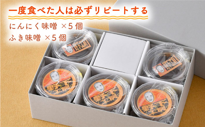 【春限定！大人気 万能調味料と夢のコラボ！】国産 にんにく味噌・ふき味噌 10個セット【野下上絵】 [LE10]
