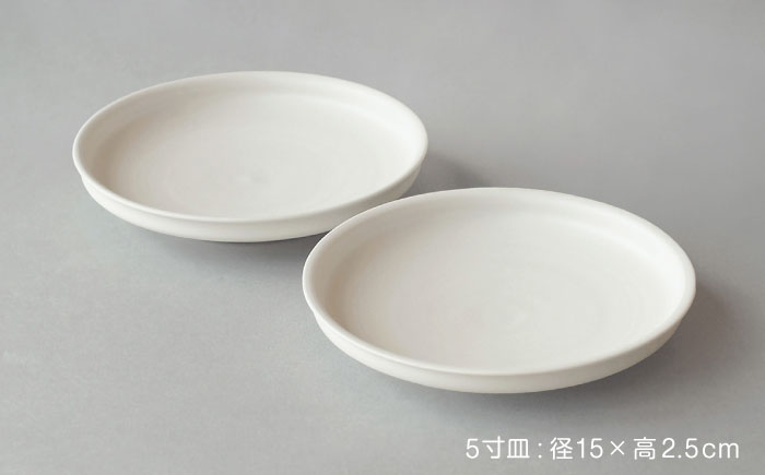 【波佐見焼】KINU 5寸皿 2点セット（艶なし）【studio wani】 [MB78]