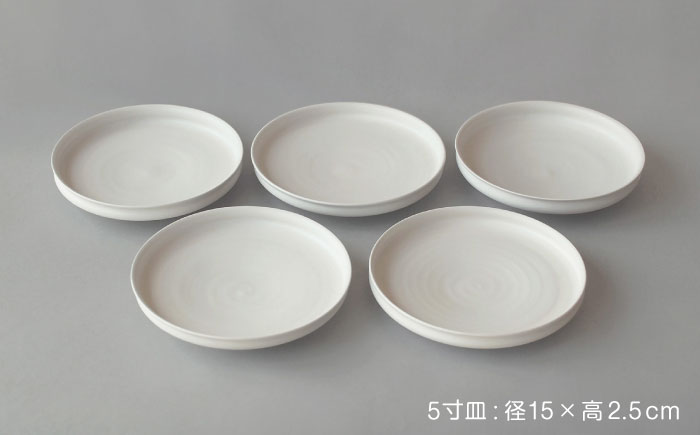 【波佐見焼】KINU 5寸皿 5点セット（艶なし）【studio wani】 [MB80]