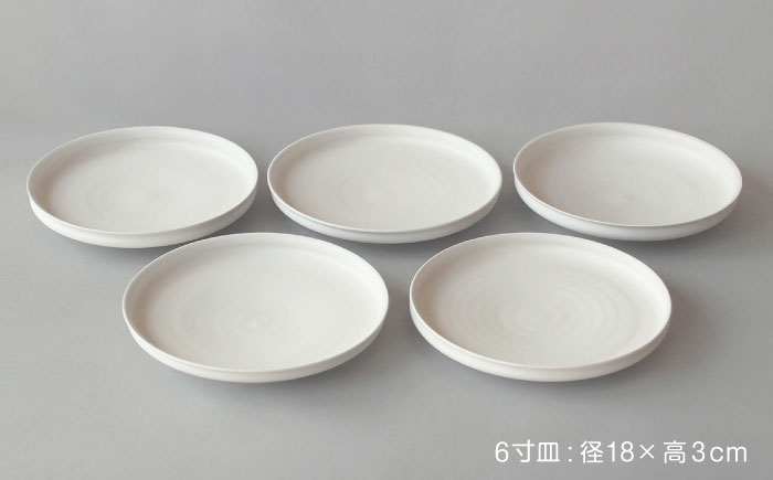 【波佐見焼】KINU 6寸皿 5点セット（艶なし）【studio wani】 [MB84]