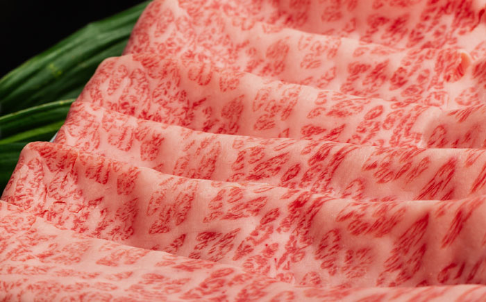 【全12回定期便】【A5ランク 】長崎和牛 肩ロース すき焼き・しゃぶしゃぶ500g しゃぶしゃぶ すき焼き 焼肉 贈答 ギフト 贈り物 お中元 お歳暮【肉のあいかわ】 [NA101]