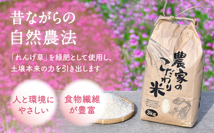 【令和7年度米】 れんげ米 なつほのか 5kg【ふきの陶】 [NF19]