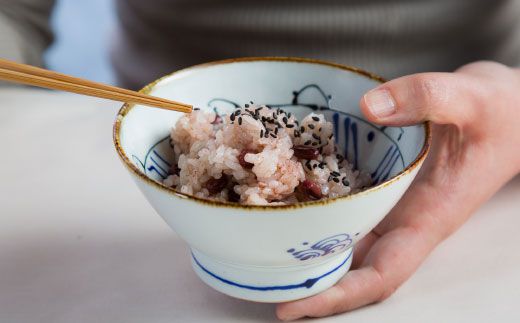 【波佐見焼】kotohogi くらわんか碗 茶碗 鶴亀 セット 食器 皿 【西海陶器】 [OA108]