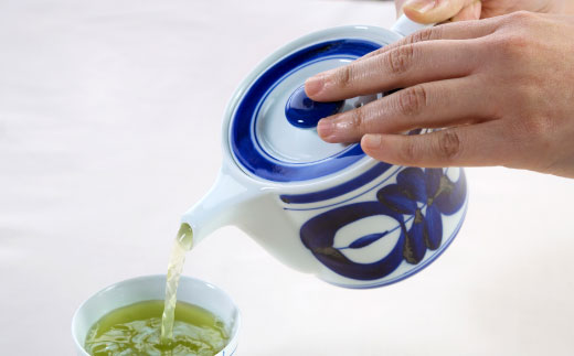 【波佐見焼】マジョリカ フラワー ポット (ss茶こし付き)【西海陶器】 1 60157 [OA172]