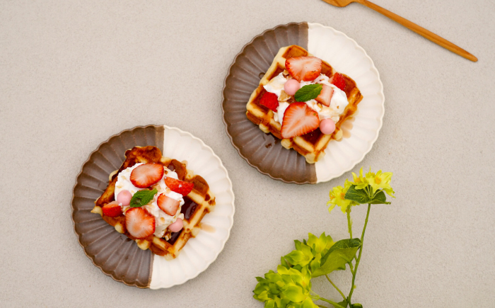 【波佐見焼】花しのぎ 取皿 ペア ハーフカラー（栗/白）【団陶器】 [PB173]