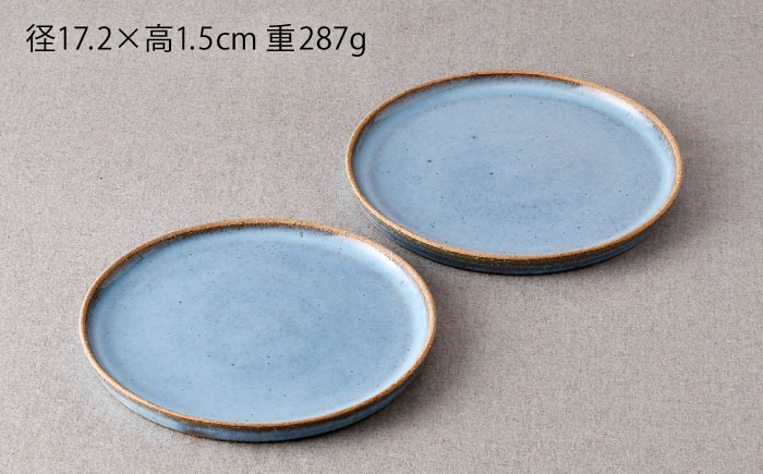 【波佐見焼】テラコッタ・BLUE プレートM 2枚セット【利左エ門窯】 [QB67]
