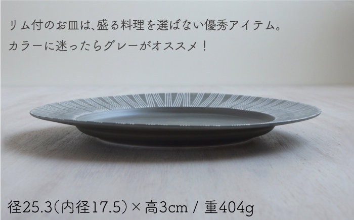 【波佐見焼】Shabby chic style 25cm プレート 2枚セット（ライトグレー） 食器 皿 【和山】 [WB105]