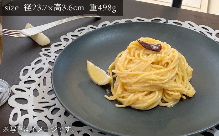 【波佐見焼】Shabbyカラー 24cm プレート ネイビー 2枚セット 大皿 パスタ皿 【和山】 [WB135]