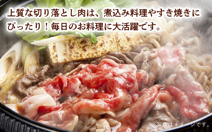 【訳あり】 切り落とし 1.0kg (200g×5)  【夢ファームシュシュ】 [WF20] 肉 牛肉 しゃぶしゃぶ すき焼き 訳アリ ワケあり