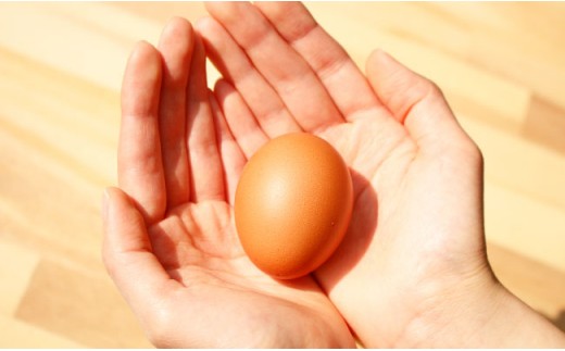 【全12回定期便(月1回)】【栄養満点！】ニンニク卵黄 自然栽培 【浅田峠自然塾】 [EA11]