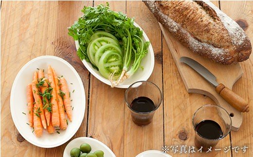 【波佐見焼】h+ 楕円皿 (浅) プレート L 5枚セット【堀江陶器】 [JD20]