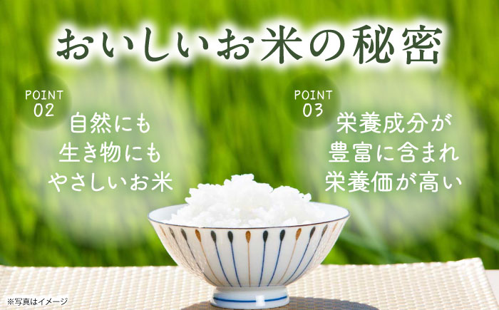 【先行予約 令和8年度新米】【全3回定期便】栽培期間中農薬不使用 農家のおいしいお米 5kg×3回 【浅田峠自然塾】 [EA06]