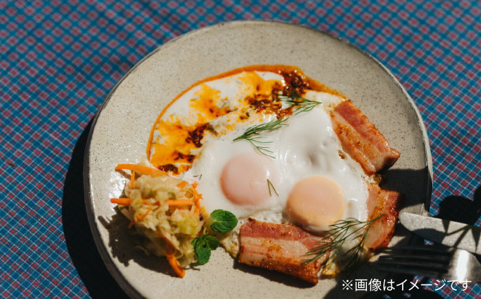 【波佐見焼 マルヒロ】BARBAR たたらシリーズ 8寸皿 2点セット [EB183]