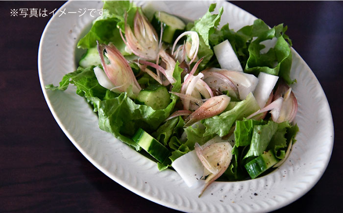 【波佐見焼】ローズマリー リムオーバル マットブラック【翔芳窯】 [FE140]