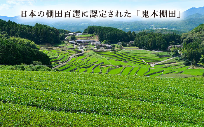 【全6回定期便】日本茶アワード受賞 玉緑茶 「心茶 鬼木みどり」 3本セット【原田製茶】 [GA22]