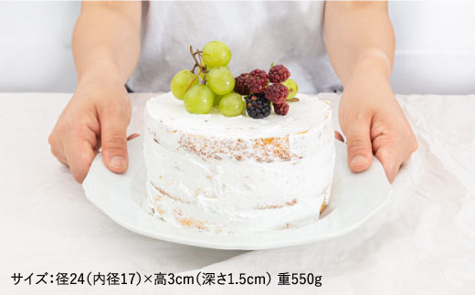 【波佐見焼】RINKA プレート M ペールカラー6点セット【藍染窯】 [JC42]