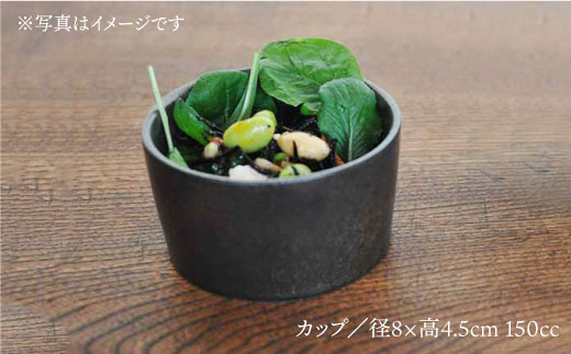 【波佐見焼】h+ 金彩釉 正角皿 プレート カップ 各5個セット 食器 皿 【堀江陶器】 [JD90]