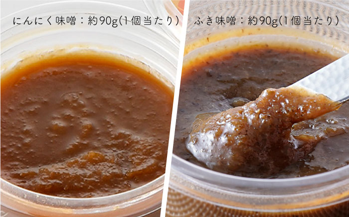 【春限定！大人気 万能調味料と夢のコラボ！】国産 にんにく味噌・ふき味噌 10個セット【野下上絵】 [LE10]