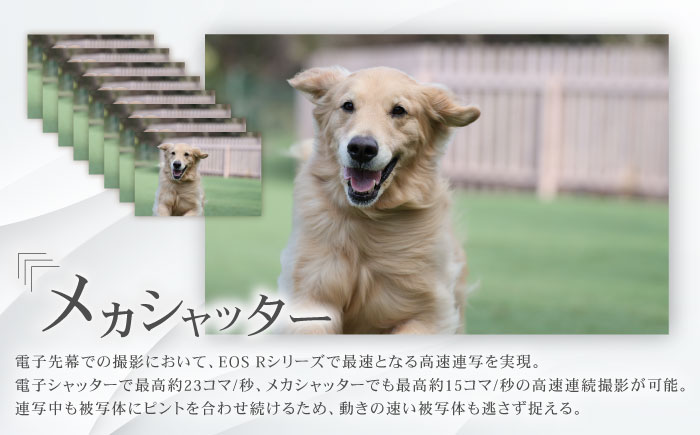 Canon EOS R10 ボディのみ ミラーレスカメラ【長崎キヤノン】 [MA15]