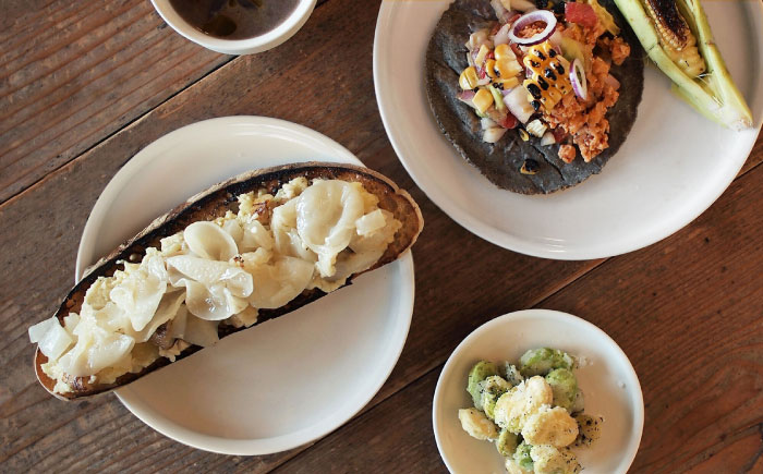 【波佐見焼】KINUシリーズ セット 14点（艶あり）【studio wani】 [MB57]