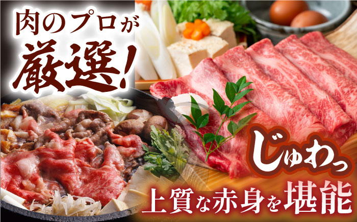 【厳選部位】【A4～A5】長崎和牛サーロインしゃぶしゃぶすき焼き用　500g【株式会社MEAT PLUS】 [MG06]
