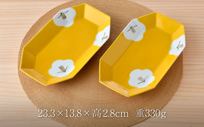 NB 123【波佐見焼】大人気の波佐見焼オリジナルセットアップ商品 食器 皿【奥川陶器/陶もと】 [NB123]