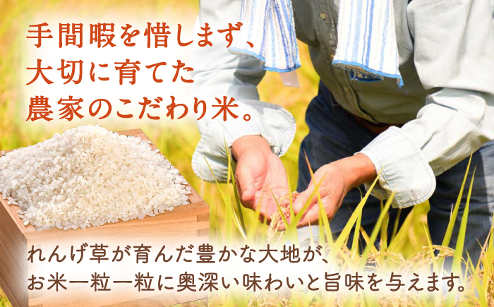 【令和7年度米】 れんげ米 なつほのか 5kg【ふきの陶】 [NF19]