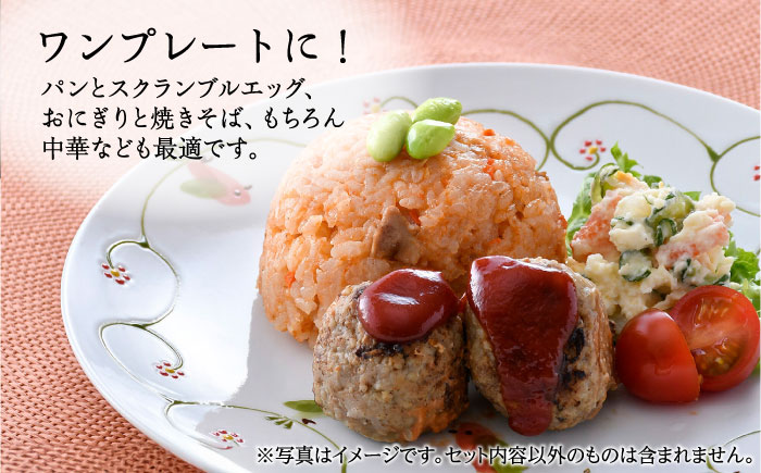 【波佐見焼】フェアリーテイル　ペア大皿　Lプレートセット　【福田陶器店】 [PA329]