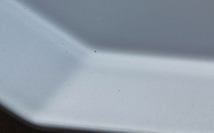 【波佐見焼】白釉 オクトゴナル長皿【吉田健宗】 [RB25]