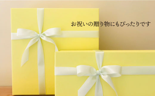 【波佐見焼】白磁 お花の 小皿 5枚組 食器 取り皿 【アトリエビスク】 [RD06]