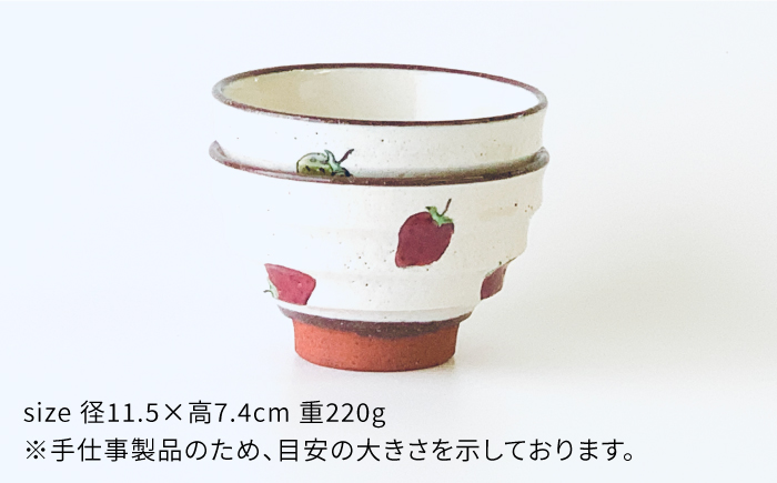 【波佐見焼】モダン 茶碗 ペアセット いちご柄【ROXY・HASAMI】 [SB133]