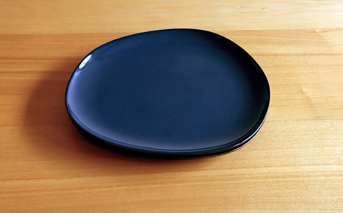 【白山陶器】【グッドデザイン賞受賞】ペトラプレート（L） ネイビー 2枚セット [TA154]