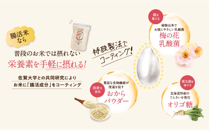 【いつものご飯で腸活！】腸活米 150g×20個セット 令和6年度米【出島トンボロ】 [VD10]