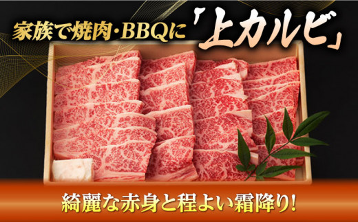 【全6回定期便】焼肉 上 カルビ 500g 長崎和牛 A4～A5ランク 【野中精肉店】 [VF35] 肉 牛肉 カルビ 焼き肉 定期便