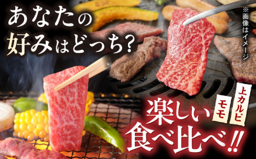 【全3回定期便】【焼き肉満喫セット】モモ 上カルビ 総計900g 長崎和牛 A4～A5ランク【野中精肉店】 [VF78] 肉 牛肉 赤身 もも カルビ 焼肉 定期便
