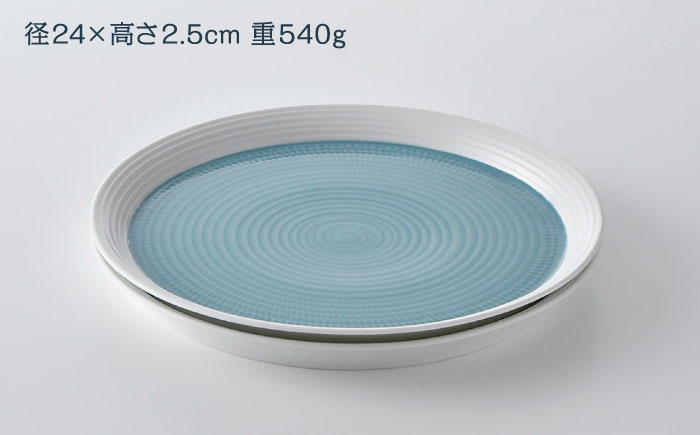 【ふるさと納税限定】波佐見焼で楽しむ 長崎和牛ヒレステーキセット【野中精肉店/一真窯】 [VF99]