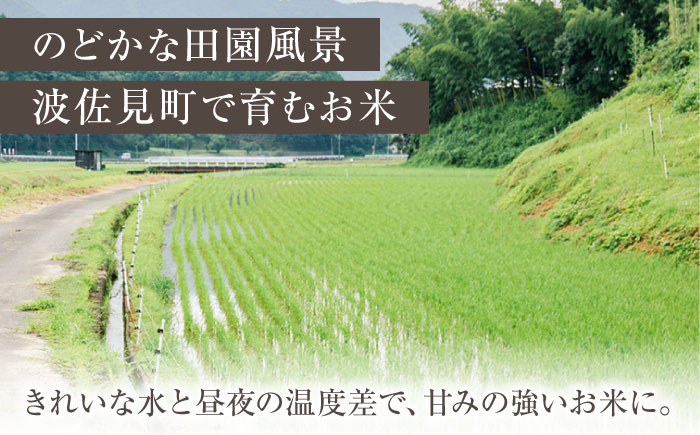 【令和6年度米】ヒノヒカリ 白米 5kg  波佐見町産【冨永米穀店】 [ZF01]